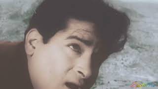 Mujhe Kitna Pyar Hai - Dil Tera Deewana (1962) (Revival Audio)  My Favorite HD Quality  @ZaifBro