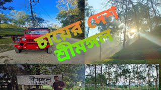 Balishira Resort Sreemangal || শ্রীমঙ্গলের বালিশিরা রিসোর্টে ১রাত থাকলে কেমন খরচ হতে পারে?