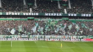 SV Werder Bremen vs TSG Hoffenheim 16.02.2025