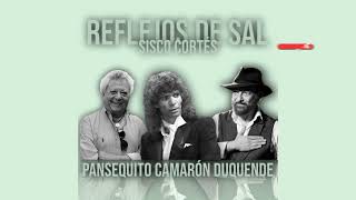 Pansequito IA, Duquende IA, Camarón IA reflejos de sal