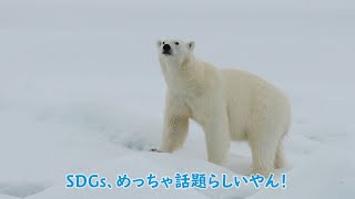 SDGｓと大阪ブルー・オーシャン・ビジョン「青い海を守る」編