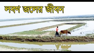 লবণ জলের জীবন। Life with Salinity