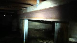 Major defects to a Sub Floor area | Asset Building and Pest Inspections