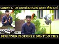 PIGEON BEGINNER TRICKS & TIPS | Pigeon Training in Tamil