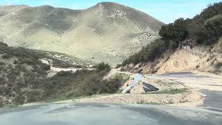 caceria de marrano cayo un coyote tardeada