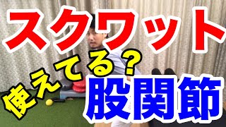 スクワットがうまくできない方へ