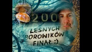 200 leśnych borowików  FINAŁ