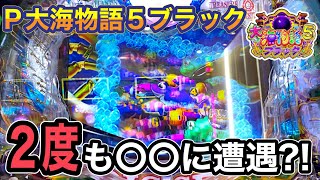 P大海物語5ブラック実践動画‼️【ダルマ実践】