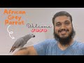 MashaALLAH se African Grey Parrot le ae | World's Smartest Parrot | #greyparrot | Zain Pet Vlogs