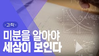 미분을 왜 배우냐고? 궁금하면 들어와 봐 #지식채널e