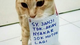 OTAK BOLEH PANAS HATI JANGAN  .DISKUSI KONYOL  🤣🤣