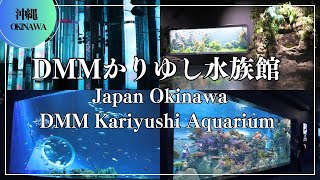 DMMかりゆし水族館 Kariyushi Aquarium Japantravel okinawa 沖縄旅行