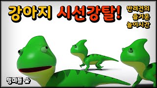 #멍마들  우리 강아지 시선강탈! 카멜레온과 함께하는 10분의 즐거움🦎 -  Steal your dog's attention!