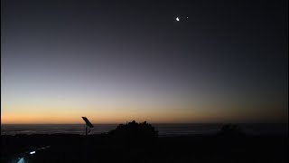 Bosque pequeño-Pichilemu CHile enero 2023