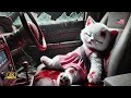 Kitten Tries Driving a Car 🚗   Mama Cat's Regret! 🐾#cat #ai #catlover #catvideos #cutecat #aicat