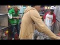 Fiestag 2023 | Last Day of Gamefowl Expo | Part 1 | Sabong Aficionado PH