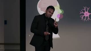 Memory and Information Storage in the Brain: A Molecular Perspective  | Brandon Woods | TEDxBoston