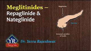 Meglitinides - Repaglinide \u0026 Nateglinide | Meglitinides | YR Pharma Tube | Dr. Yerra Rajeshwar