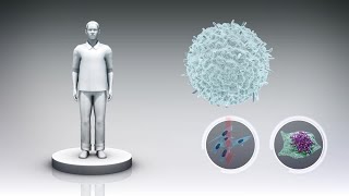 Immune discovery could be universal cure to cancer