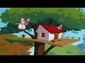 Woody Woodpecker Show  1 Hour Compilation  Cartoons For Children
