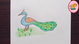 peacock Drawing|Drawing peacock 🦚|how to draw a peacock|peacock colour drawing|peacock🦚Drawing easy