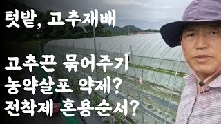 텃밭,고추재배 / 고추끈 묶어주기 / 농약살포약제 및 혼용순서? / 전착제 혼용순서는? / 영농상담 문답 방법?