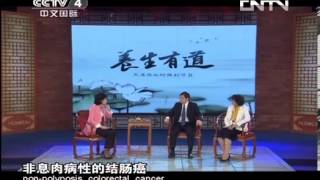 天涯共此时 《天涯共此时》 20130629 养生有道 科学养生 远离结直肠癌