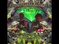 Psycristrance 2024 / Nanoplex / IbogaTech Records
