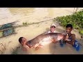 stocking mekong giant catfish into our fishing lake in thailand 🇹🇭