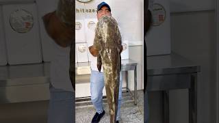 🐟هیولای خلیج فارس🐟ماهی سِکِن یا سه کله🐟خرید ازطریق سایت🌐mahitazeh.com #ماهی #fishing #fish #