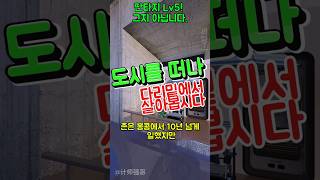 Fantasy Life: 다리 밑에서 자연인으로의 모험!