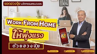 เคล็ดลับ จัดโต๊ะทำงานตามหลักฮวงจุ้ย จะนั่งทำงาน หรือนั่ง Work from home ทิศไหนดีมงคล - ยอดฮวงจุ้ย