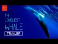 THE LONELIEST WHALE | Official Trailer | Bleecker Street