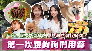 第一次跟狗狗一起吃日本料理🐶 毛小孩也能吃的超萌雞蛋糕？結合美容住宿的寵物友善餐廳！