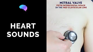 Heart murmur sounds (cardiac auscultation sounds) | UKMLA | CPSA | PLAB 2