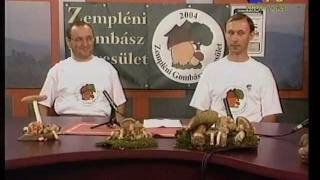 2008.10. Gombázzunk együtt