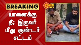 #BREAKING | யானைக்கு தீ வைத்தவர்கள் மீது குண்டர் சட்டம் பாய்ந்தது | Sun News