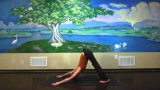 Yax Yoga Concepts Tutorial - What's too Deep in DownDog (Adho Mukha Svanasana)