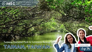 Taijiang National Park \u0026 Cetacean Rescue Center in Tainan, Taiwan