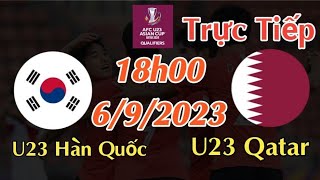 Soi kèo trực tiếp U23 Hàn Quốc vs U23 Qatar - 18h00 Ngày 6/9/2023 - vòng loại U23 Châu Á 2024