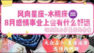 黑貓塔羅 【風象星座專場 水瓶座♒️】8月感情發展事業走向