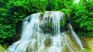 Jungle waterfall sounds for sleeping. Nature White noise. 10 hours water slound.