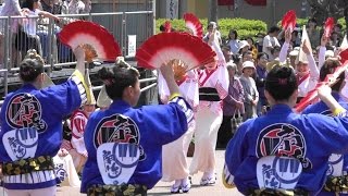 華やか「扇連」はな・はる・フェスタ2017@藍場浜