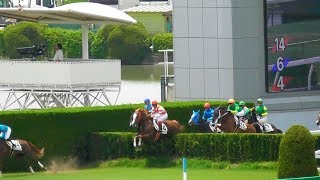 スズカグランデ（白浜）が14戦目で障害初勝利。現地映像、京都競馬場