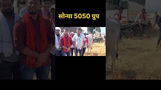 सोनारपाड्याचा सोन्या 5050