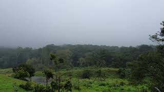 Pampadum shola national park