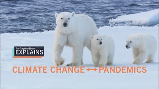 How pandemics are linked to climate change