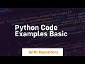 python code examples basic