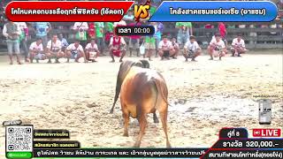 🔴LIVE ถ่ายทอดสดวัวชน สนามกีฬาชนโคท่าหรั่ง วันที่ 16 กุมภาพันธ์ 2568 #วัว #วัวชนวันนี้