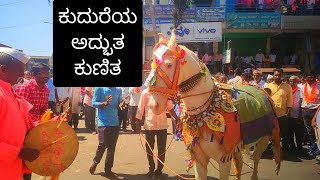 Look at the horse's gallop ಕುದುರೆಯ ಕುಣಿತ ನೋಡ್ರಿ #horse #dance #vairal #mudalgitalents #animaldance